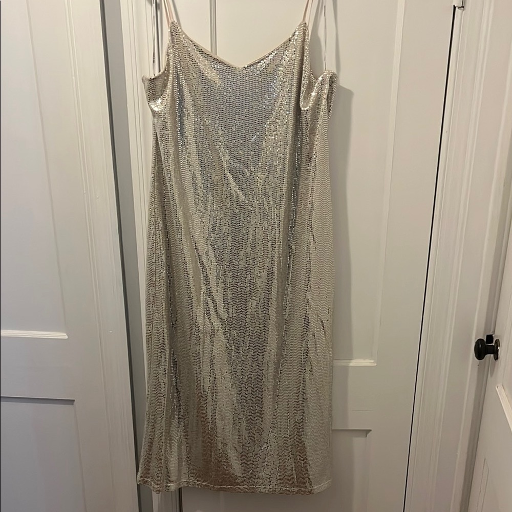NWT - Anne Klein Elegant Silver Sequin Dress
